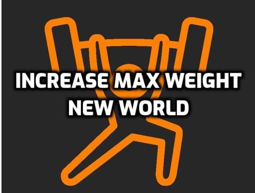 max weight new world