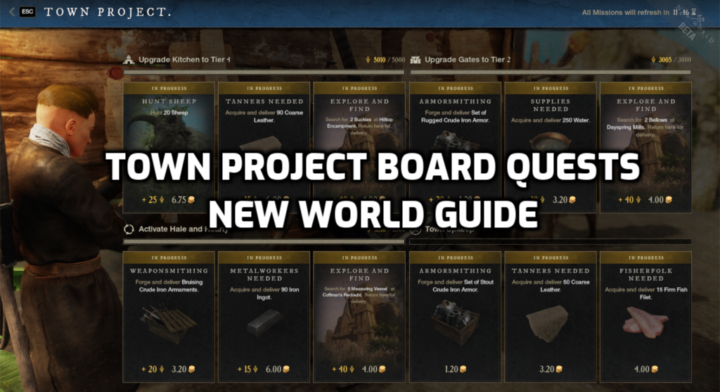 town project board guide new world