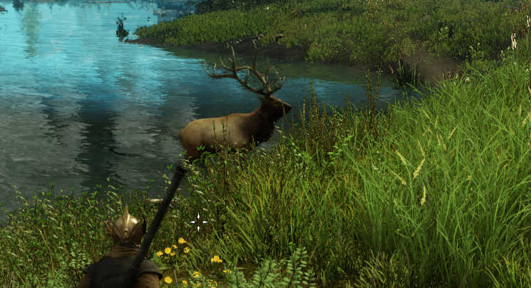 Where to find Elk in New World