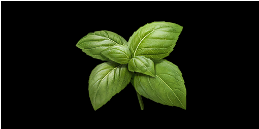 where to find basil in new world