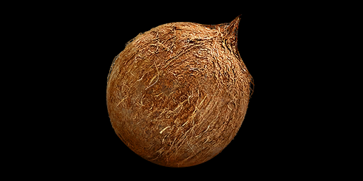 coconut new world where to find