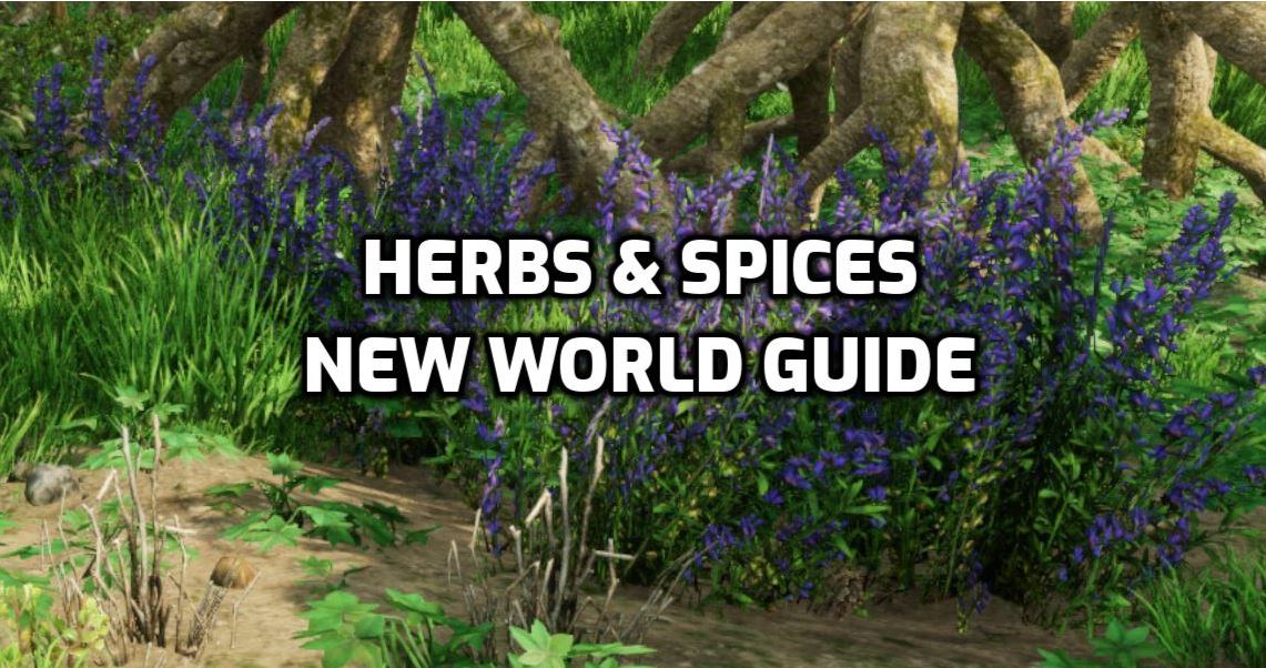 herbs and spices guide new world