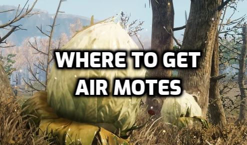where to get air motes