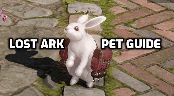 LOST ARK PET GUIDE