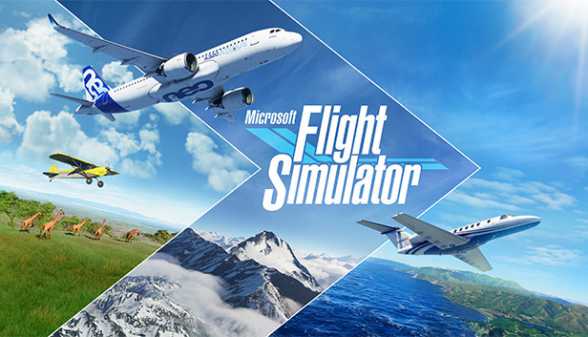 Microsoft Flight Simulator