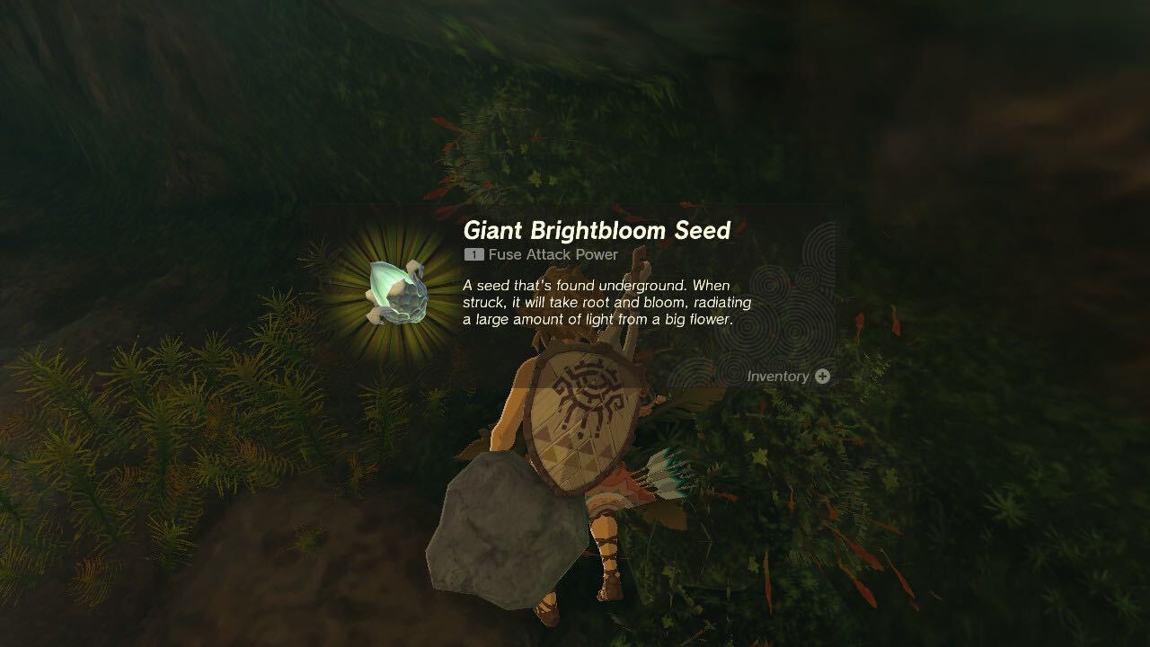 Link picking up a brightbloom seed in Tears of the Kingdom