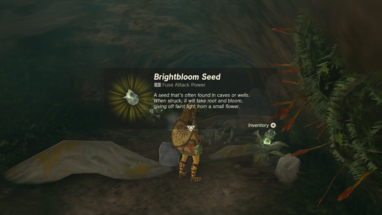 Link picking up a smaller Brightbloom seed in Tears of the Kingdom