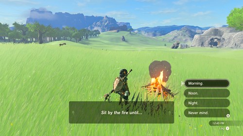 Link standing next to a fire