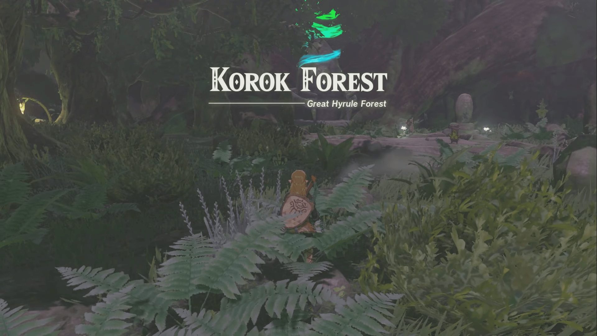 Korok Forest in Zelda Tears of the Kingdom