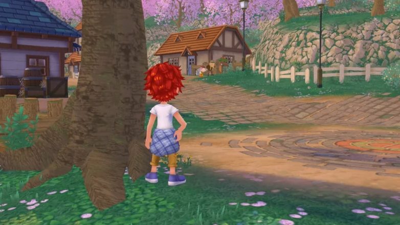 Completing the Nami heart events in Story of Seasons: A Wonderful Life