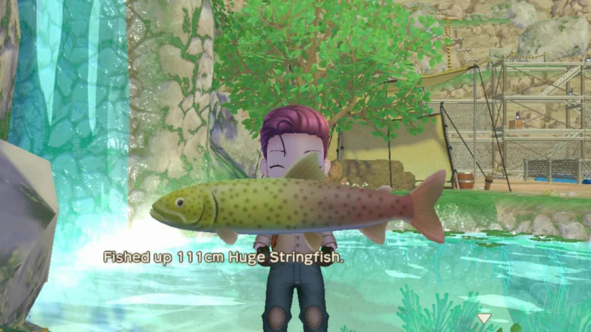 A player fishing up a Stringfish in Story of Seasons.