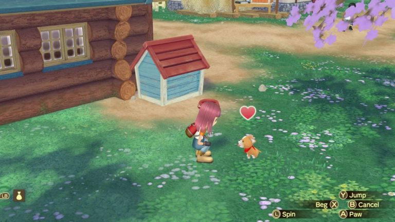 Story of Seasons: A Wonderful Life Dog Food - Can you feed the dog?