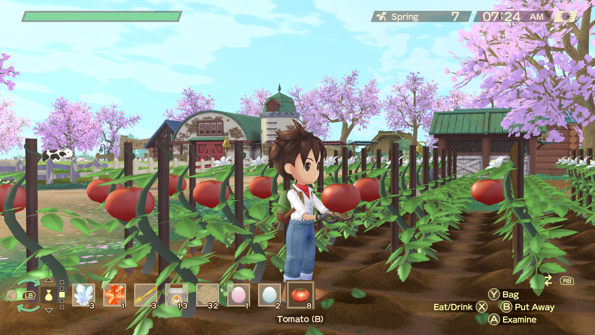 A farm full of crops in Story of Seasons: A Wonderful Life.