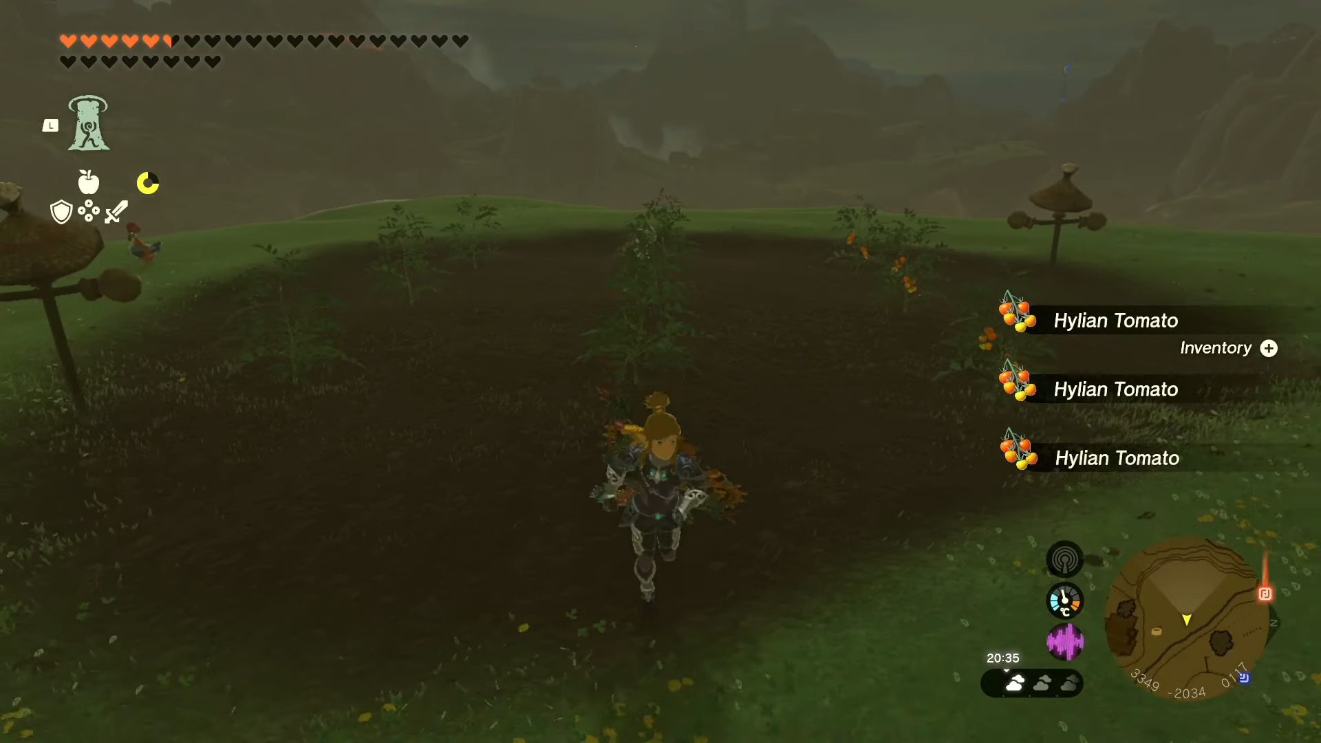 Link harvesting Hylian Tomatoes in Zelda: Tears of the Kingdom