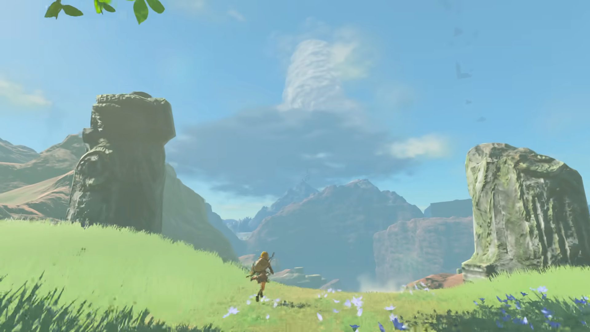 Link running in a field in Zelda: Tears of the Kingdom
